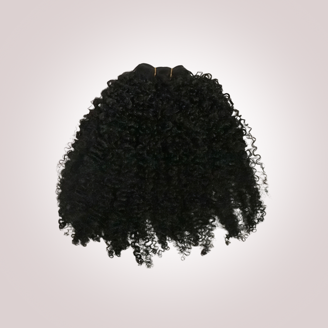 Premium Virgin Kinky Curly Hair